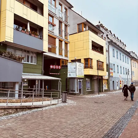 Silver - In The Center With Privat Parking Apartment