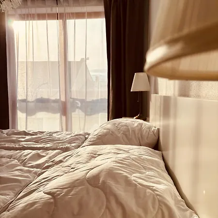 Silver - In The Center With Privat Parking Daire Banská Bystrica